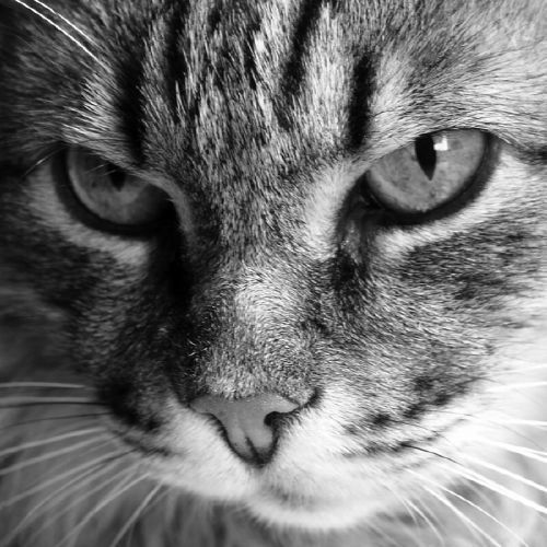 Юлия Ярзуткина