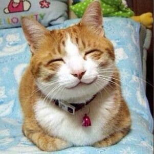 Анастасия Смирнова