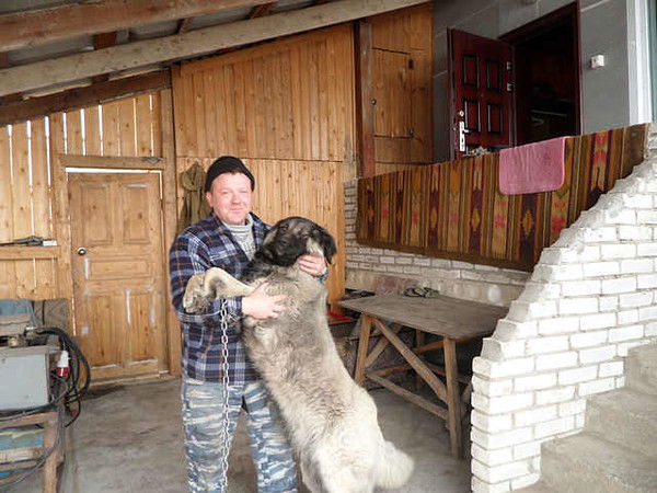 Алексей Азаров