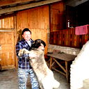 Алексей Азаров