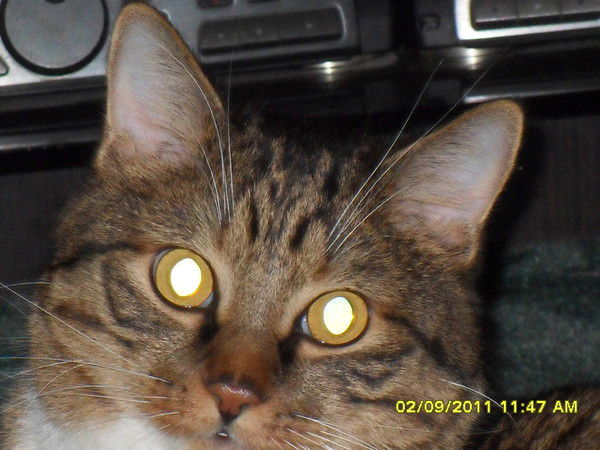 Екатерина Судакова