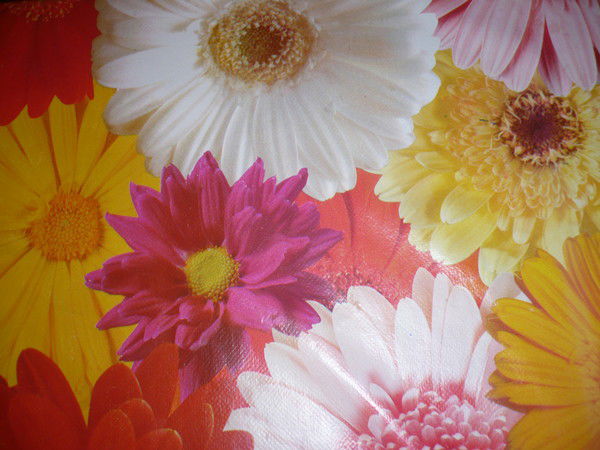 Ирина Струина