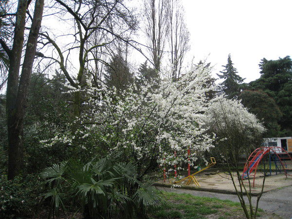 Галина Кононенко