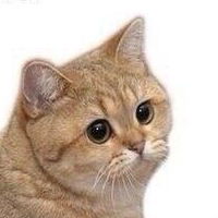 Антон Каськов