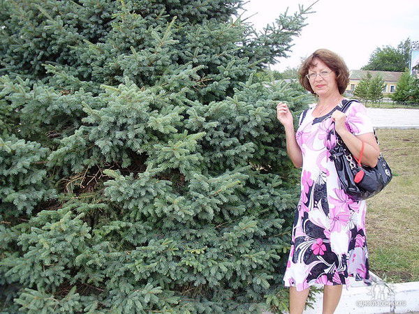 Елена Шпомер