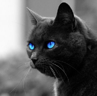 Алексей Перминов