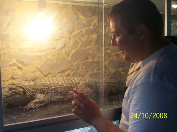 Артур Ибрагимов