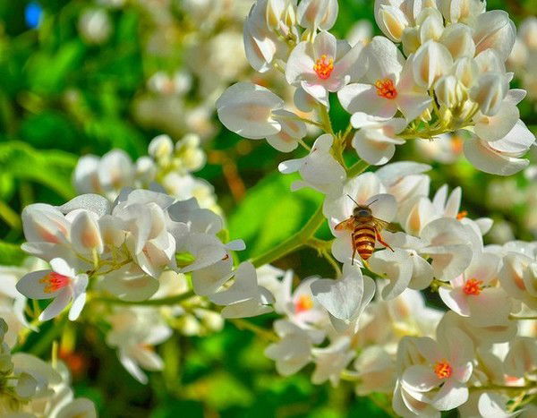 Нна Дмитрук