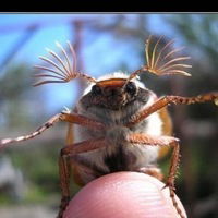 Мария Подольская