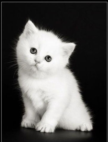 Марина Креймер