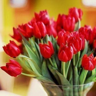 Снежана Ермоленко