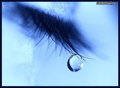 Sumbula (Ko'zmunchoq)