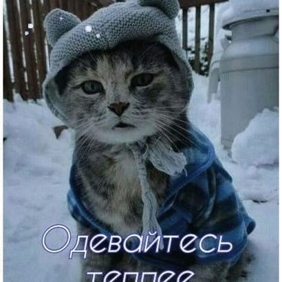 Сергей Таймаров