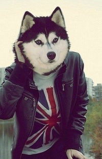 Даниил Баталов