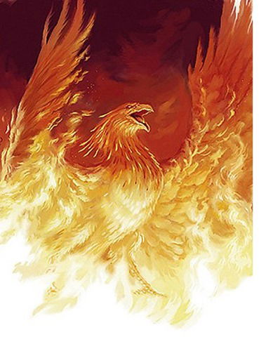 Владислав Дрикоз