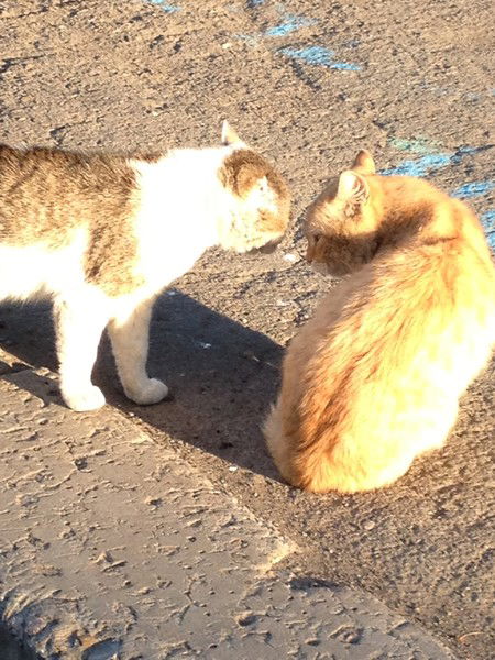 Антон Баландин