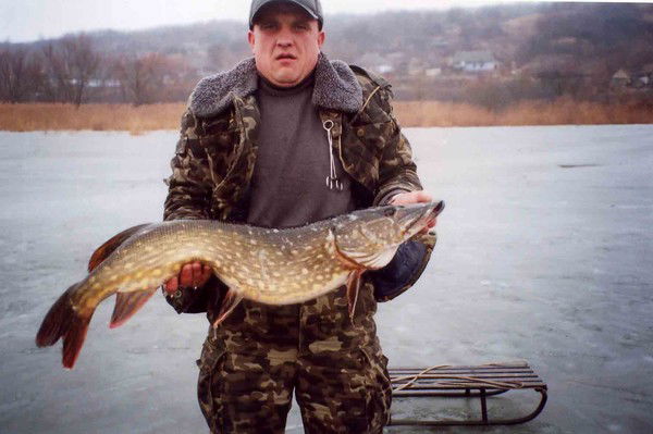 Евгений Чоповций