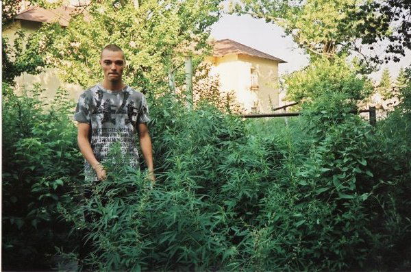 Владимир Коровин