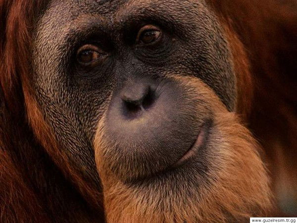 Александр Сунцов