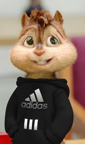 Дмитрий Шихмамедов