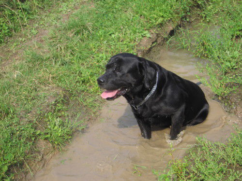 Евгений Мартынов