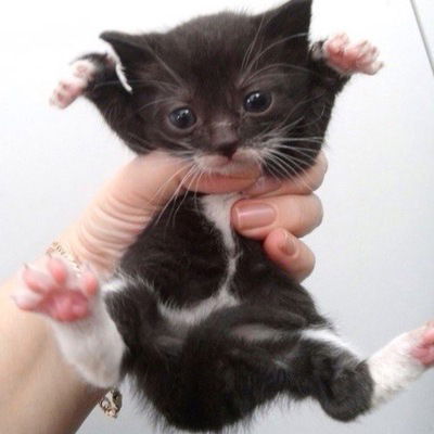 Андрей Демкин