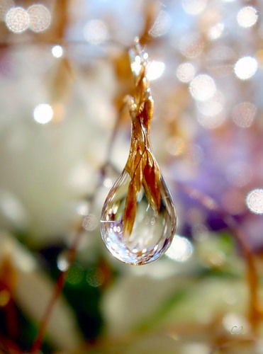 Андрей Черных