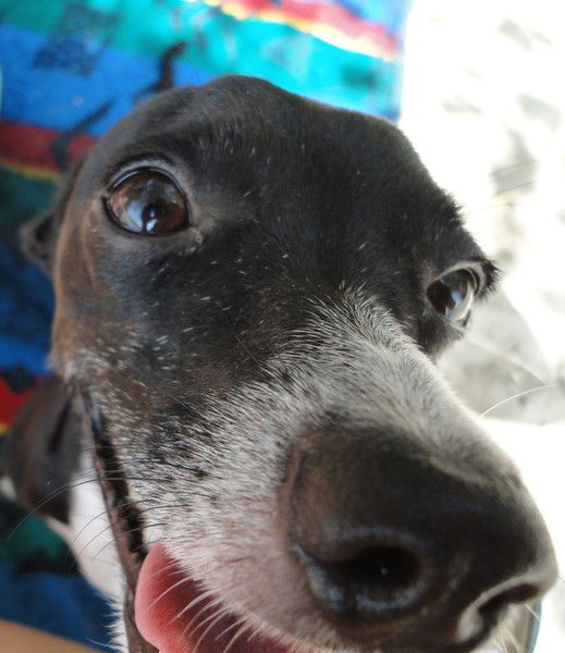 Зоя Прасолова