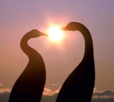 Гузеля Мингазова