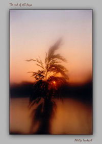 Инна Риннова