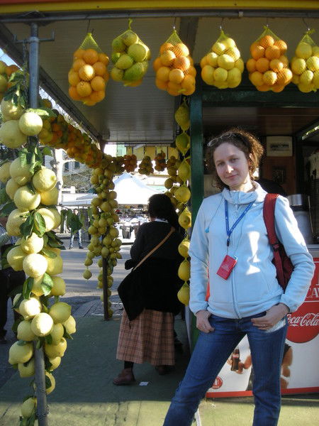 Елена Алехина