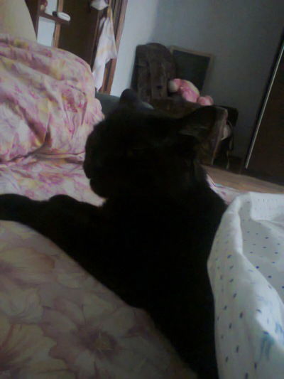 Катерина Крамарь