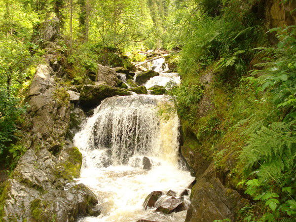 Олег Гаврилов