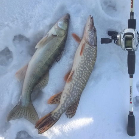 Александр Александрович