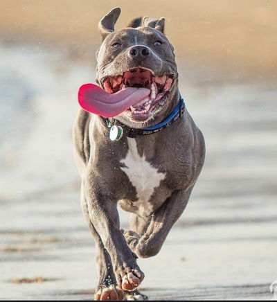 Юрий Занько