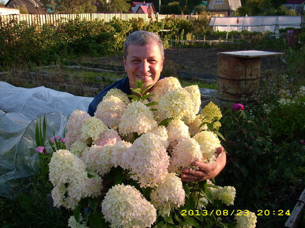 Мир Эдуардович