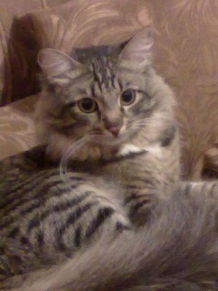 Татьяна Крупская