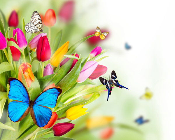 Детский Дом № 4 Дд 4