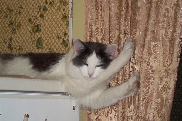 Надежда Родионова