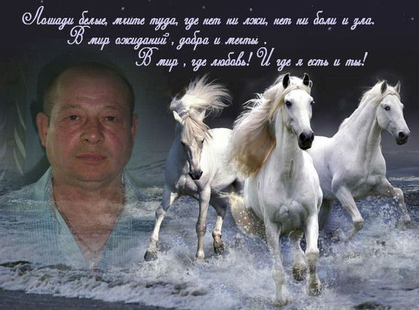 Вячеслав Полушкин