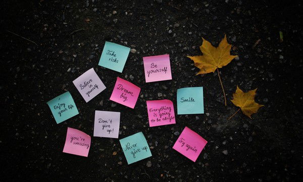 Алина Сергеева