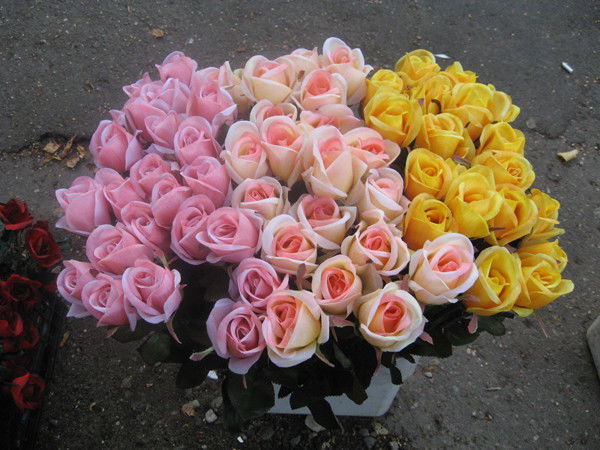 Екатерина Малинина