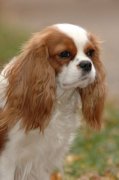 Татьяна Сукачева