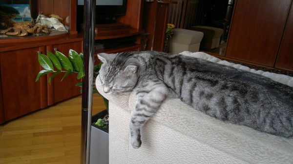 Александр Подколзин