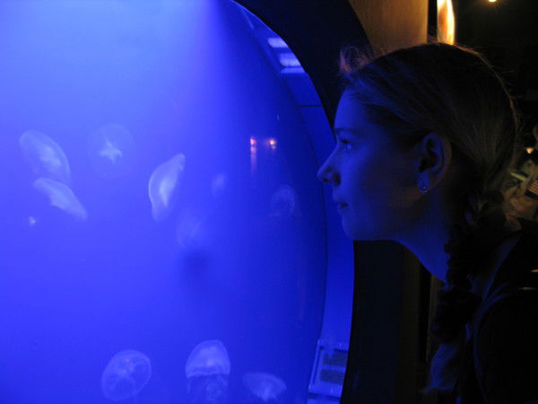 Алена Прядко