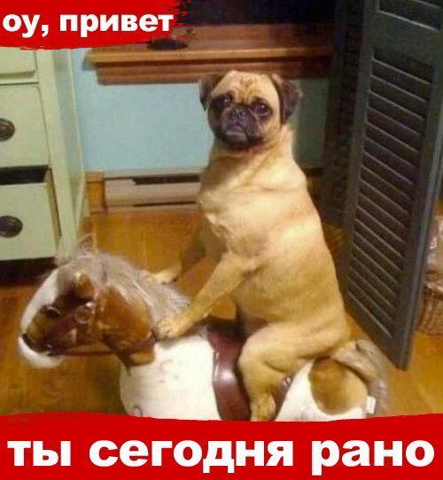 Виталий Кондрин