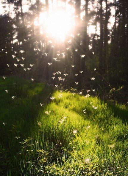 Виктория Баранова