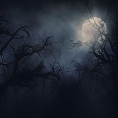 Никита Никитин