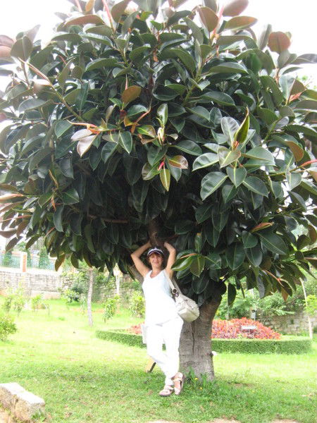 Елена Зюбина