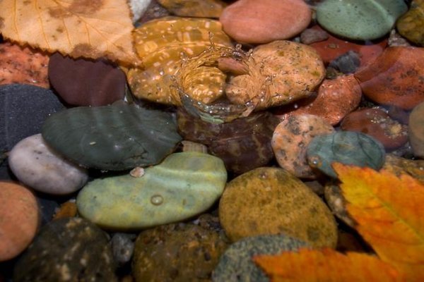 Сауле Садыкова